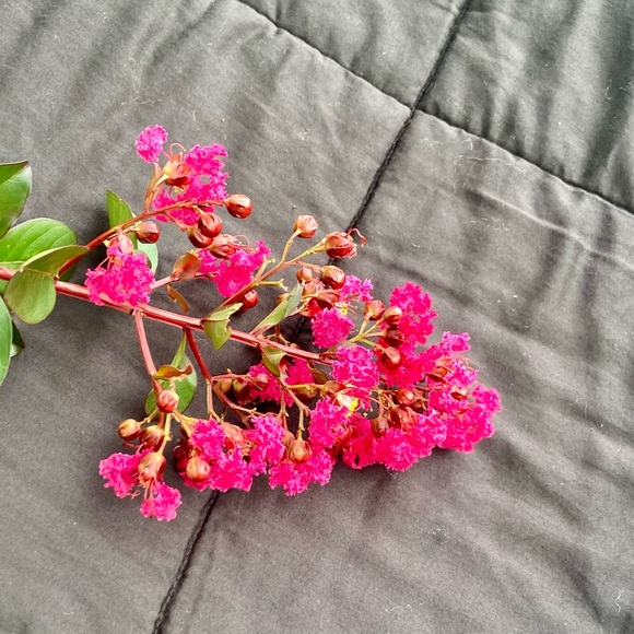 Casaluna Target black linen blend Queen size comforter - Picture 7 of 9